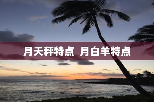 月天秤特点 月白羊特点