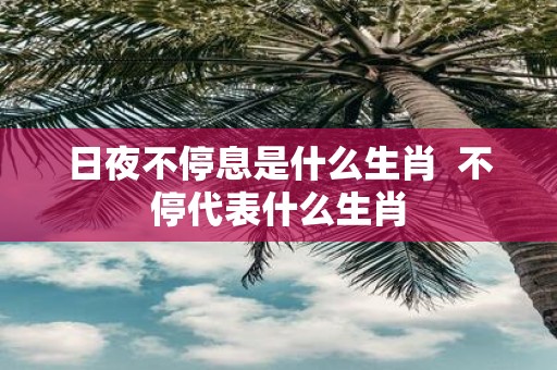 日夜不停息是什么生肖 不停代表什么生肖
