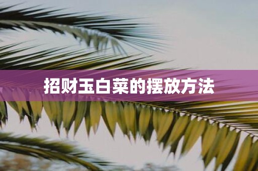 招财玉白菜的摆放方法