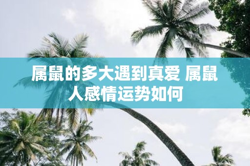 属鼠的多大遇到真爱 属鼠人感情运势如何