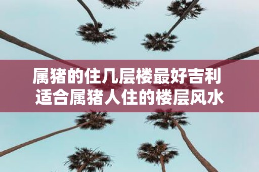 属猪的住几层楼最好吉利 适合属猪人住的楼层风水