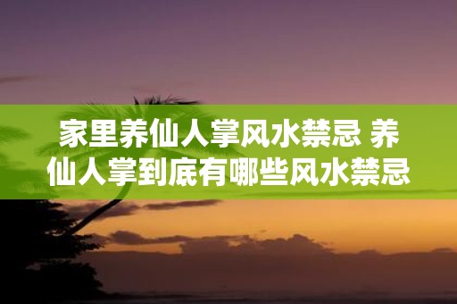 家里养仙人掌风水禁忌 养仙人掌到底有哪些风水禁忌