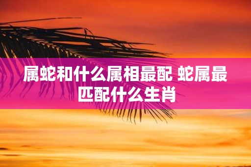 属蛇和什么属相最配 蛇属最匹配什么生肖