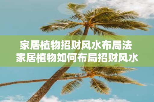 家居植物招财风水布局法 家居植物如何布局招财风水