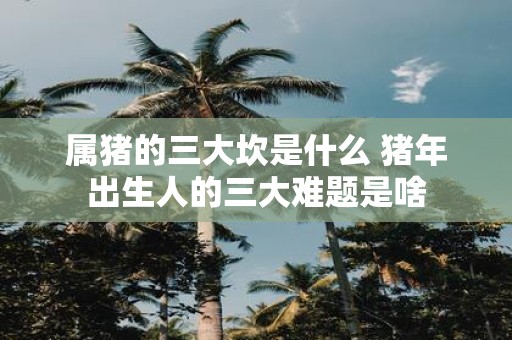 属猪的三大坎是什么 猪年出生人的三大难题是啥