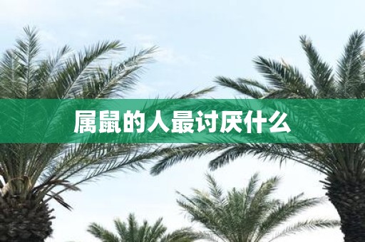 属鼠的人最讨厌什么
