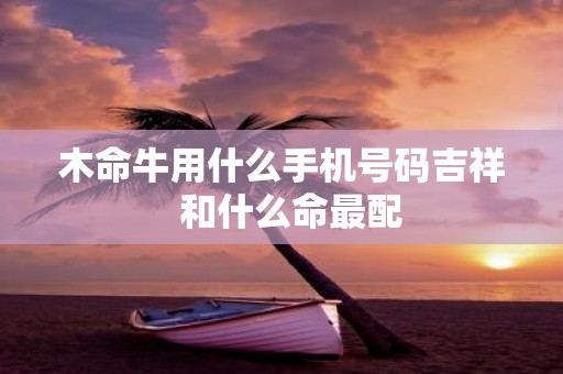 木命牛用什么手机号码吉祥 和什么命最配