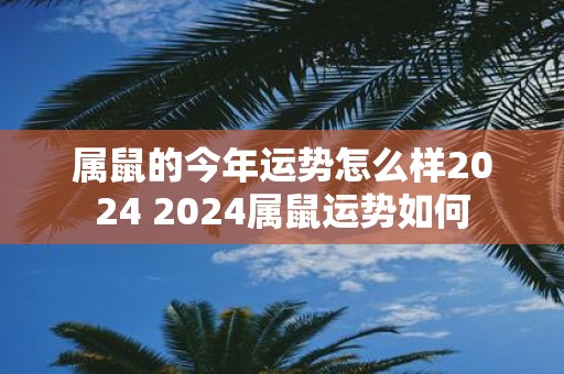 属鼠的今年运势怎么样2025 2025属鼠运势如何