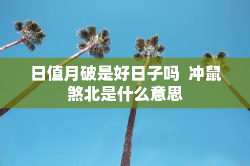 日值月破是好日子吗 冲鼠煞北是什么意思