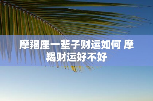 摩羯座一辈子财运如何 摩羯财运好不好