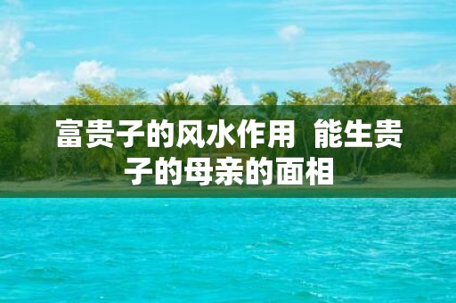 富贵子的风水作用 能生贵子的母亲的面相