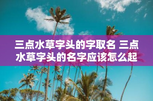 三点水草字头的字取名 三点水草字头的名字应该怎么起