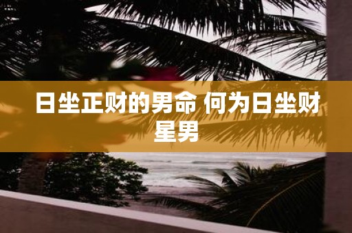 日坐正财的男命 何为日坐财星男