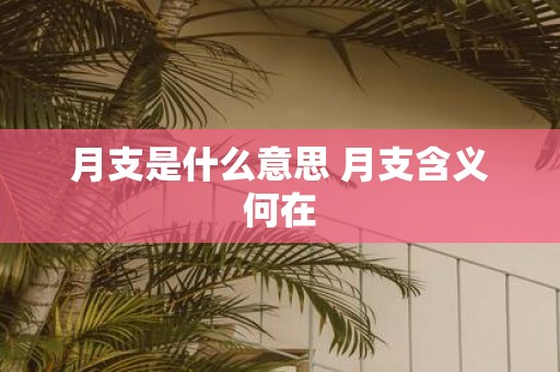月支是什么意思 月支含义何在