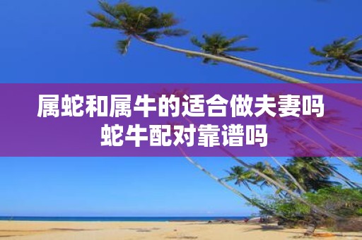 属蛇和属牛的适合做夫妻吗 蛇牛配对靠谱吗