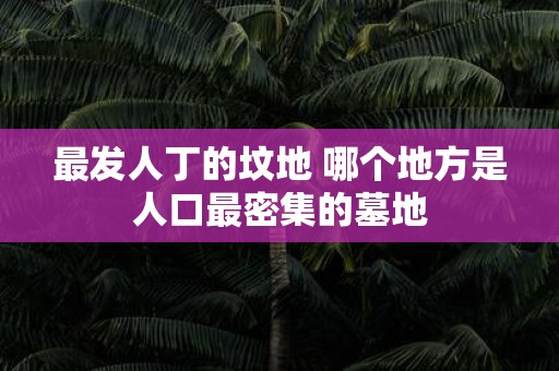 最发人丁的坟地 哪个地方是人口最密集的墓地