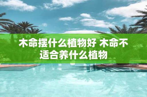 木命摆什么植物好 木命不适合养什么植物