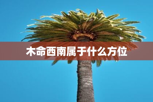 木命西南属于什么方位