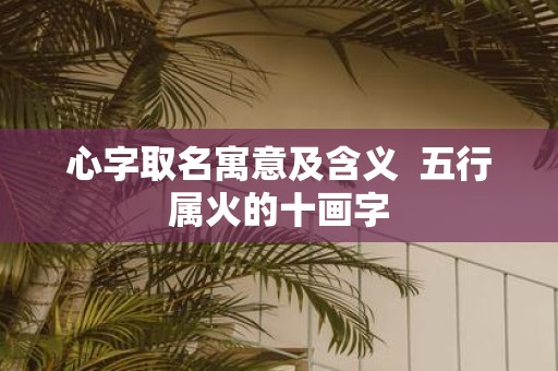 心字取名寓意及含义 五行属火的十画字