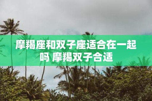 摩羯座和双子座适合在一起吗 摩羯双子合适