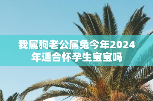 我属狗老公属兔今年2025年适合怀孕生宝宝吗
