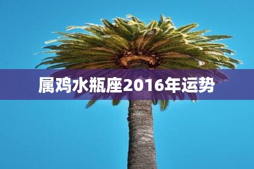 属鸡水瓶座2016年运势