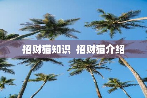 招财猫知识 招财猫介绍