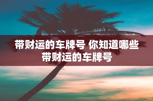 带财运的车牌号 你知道哪些带财运的车牌号