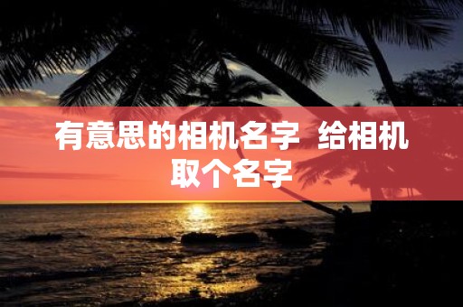 有意思的相机名字 给相机取个名字