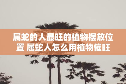 属蛇的人最旺的植物摆放位置 属蛇人怎么用植物催旺运势