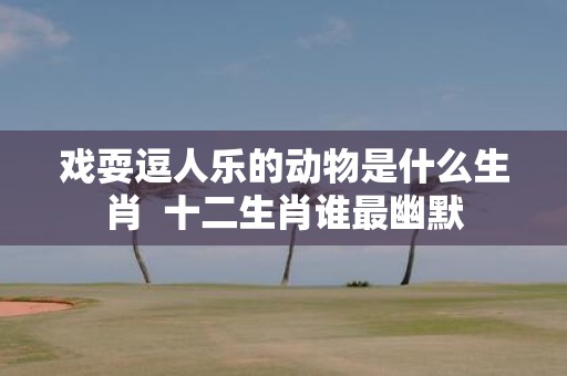 戏耍逗人乐的动物是什么生肖 十二生肖谁最幽默