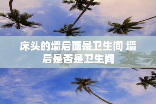 床头的墙后面是卫生间 墙后是否是卫生间
