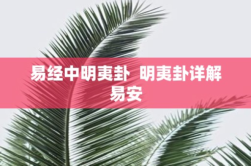 易经中明夷卦 明夷卦详解易安