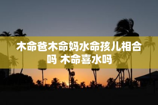 木命爸木命妈水命孩儿相合吗 木命喜水吗