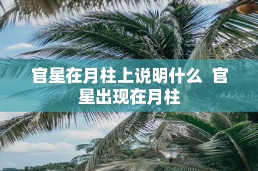官星在月柱上说明什么 官星出现在月柱