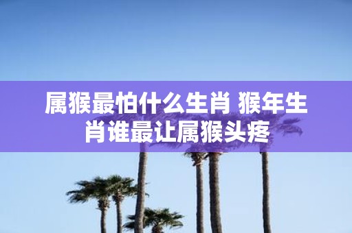 属猴最怕什么生肖 猴年生肖谁最让属猴头疼