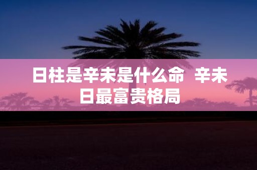 日柱是辛未是什么命 辛未日最富贵格局