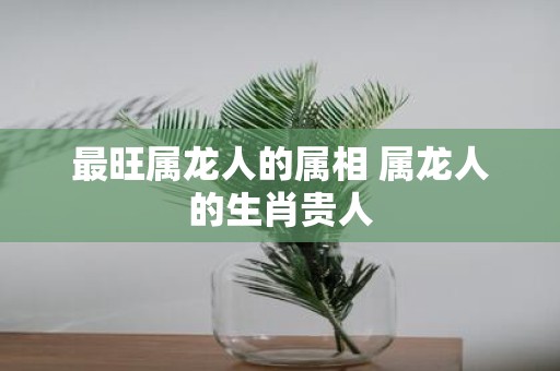最旺属龙人的属相 属龙人的生肖贵人