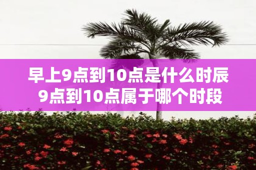早上9点到10点是什么时辰 9点到10点属于哪个时段