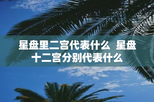 星盘里二宫代表什么 星盘十二宫分别代表什么