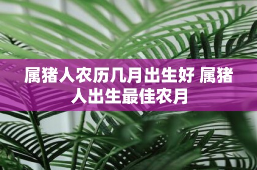 属猪人农历几月出生好 属猪人出生最佳农月