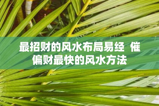 最招财的风水布局易经 催偏财最快的风水方法