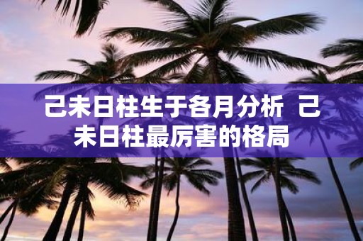 己未日柱生于各月分析 己未日柱最厉害的格局