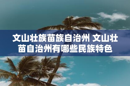 文山壮族苗族自治州 文山壮苗自治州有哪些民族特色