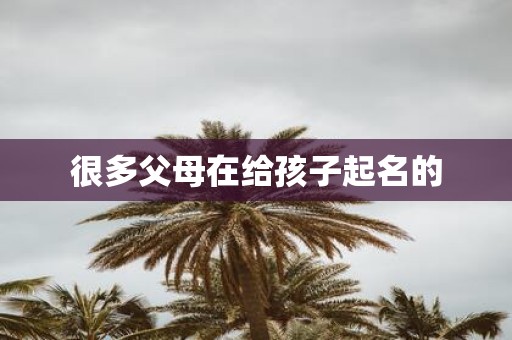 很多父母在给孩子起名的