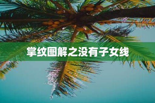 掌纹图解之没有子女线