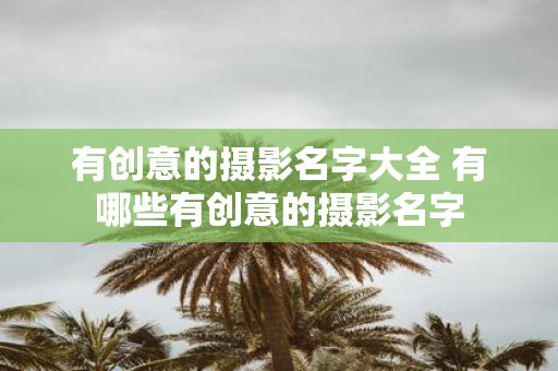 有创意的摄影名字大全 有哪些有创意的摄影名字
