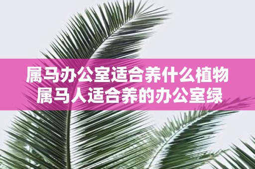 属马办公室适合养什么植物 属马人适合养的办公室绿植
