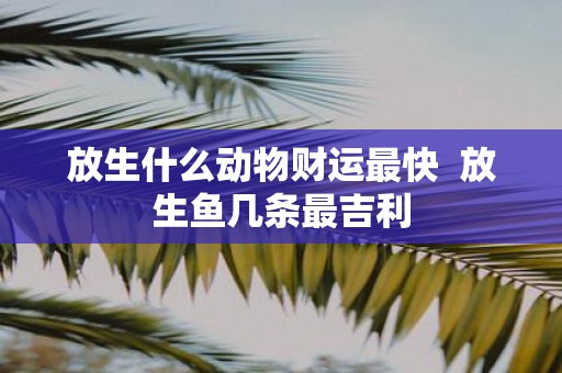 放生什么动物财运最快 放生鱼几条最吉利