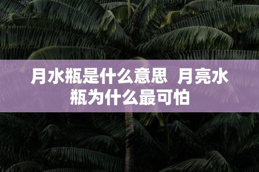 月水瓶是什么意思 月亮水瓶为什么最可怕